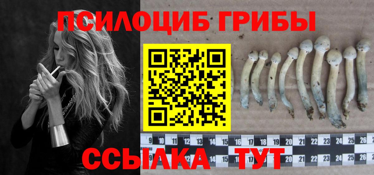 Псилоцибиновые грибы Magic Shrooms Саратов