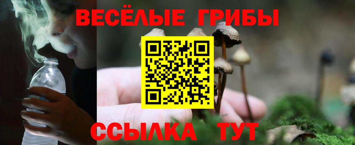Псилоцибиновые грибы MAGIC MUSHROOMS  как найти   Вход с VPN  Саратов  Псилоцибиновые грибы Cubensis 